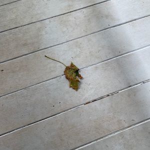 Meet your Posher, Neil